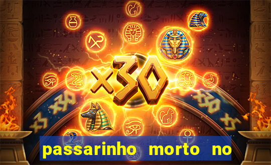 passarinho morto no quintal significado espiritual